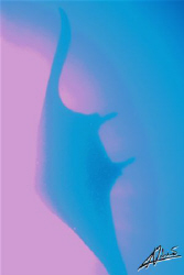 manta in koh bon, flower power effect... by Adriano Trapani 